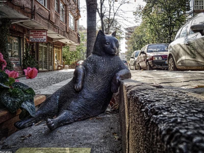 Ученики автошколы Дорога Успеха